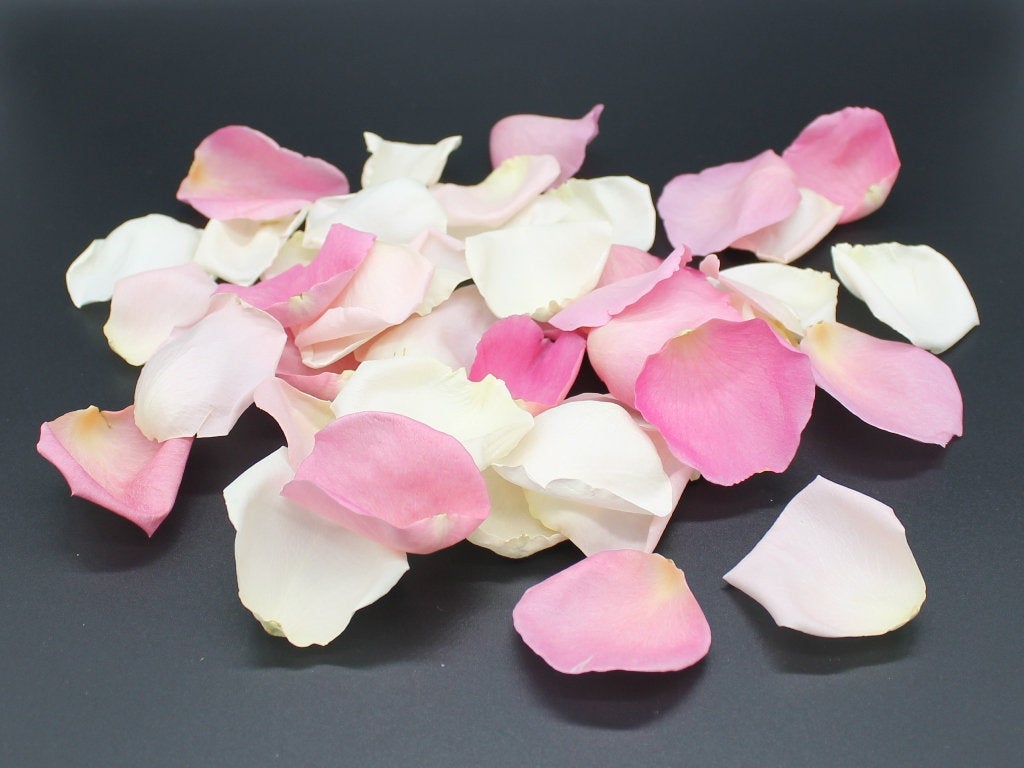 Petal Garden - Freeze Dried Petals - Blush