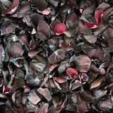 Rose Petals, Blacklight Dyed, Real Freeze Dried Bulk Budget Petals, 100 cups