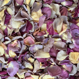 Rose Petals, Purple Shades, Real Freeze Dried Bulk Budget Petals, 100 cups