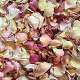 Rose Petals, Light Peach, Pink, and Ivory, Real Freeze Dried Bulk Budget Petals, 100 cups