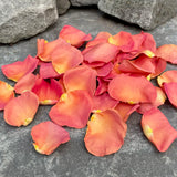 Freeze Dried Rose Petals - Coral