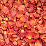 Freeze Dried Rose Petals - Coral