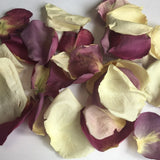 Rose Petals, Real Freeze Dried Ivory and Purple Petals for Pathways, 70 cups