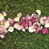 Rose Petals, Real Freeze Dried Ivory and Purple Petals for Pathways, 70 cups