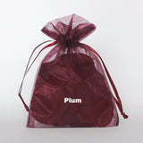 4x6 Organza Bag