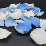 Freeze Dried Rose Petals - Cinderella Blend