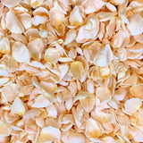Rose Petals, Cream Real Freeze Dried Bulk Budget Petals, 100 cups