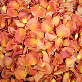 Freeze Dried Rose Petals - Coral