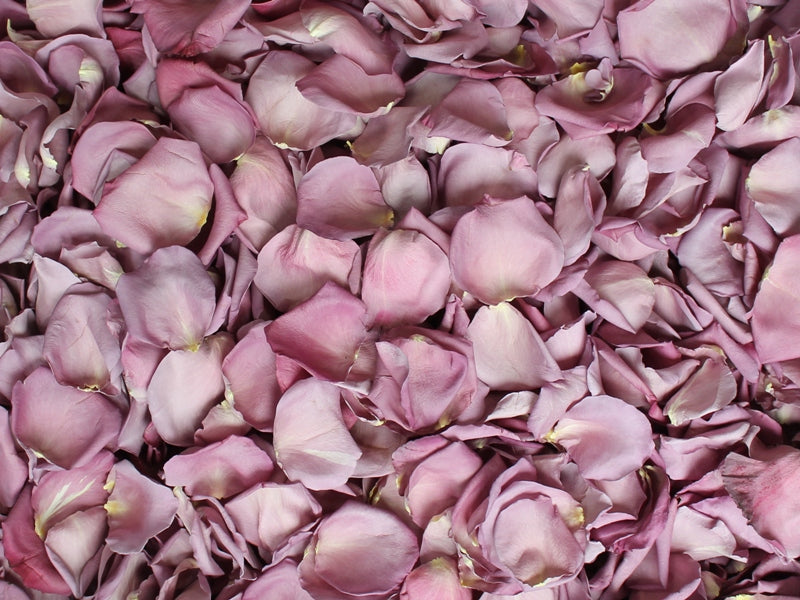 Rose Petals, Romance Blend, REAL Freeze Dried Rose Petals, Perfectly  Preserved 