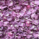 Rose Petals, REAL Freeze Dried Petals, 5 cups