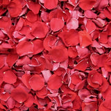 Rose Petals, REAL Freeze Dried Petals, 5 cups