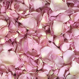 Freeze Dried Rose Petals - Rosy Mauve