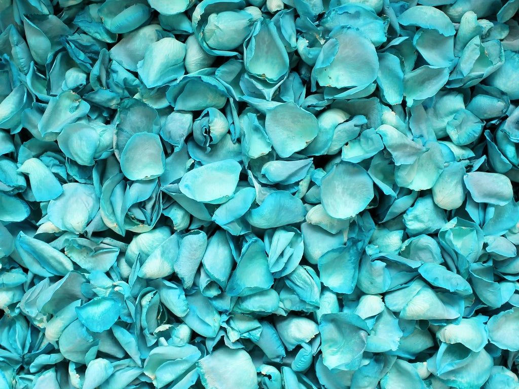 Freeze Dried Rose Petals - Blue dyed