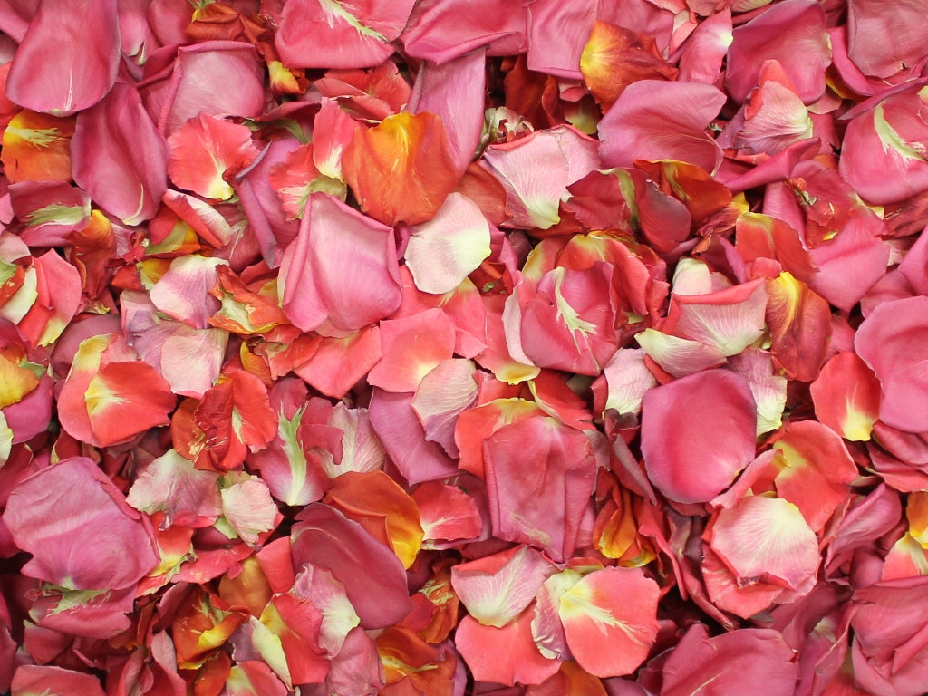 Rose Quartz Freeze Dried Rose Petals