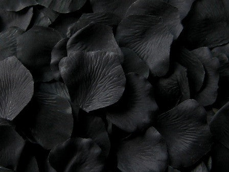 black rose petals - Playground
