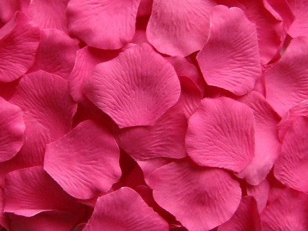 Pink Rose Petals 