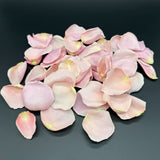 Freeze Dried Rose Petals - Ballerina Pink
