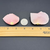 Freeze Dried Rose Petals - Ballerina Pink