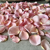 Freeze Dried Rose Petals - Ballerina Pink