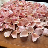 Freeze Dried Rose Petals - Ballerina Pink