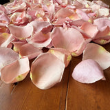 Freeze Dried Rose Petals - Ballerina Pink