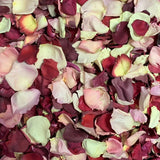 Rose Petals, Romance Blend Real Freeze Dried Petals for Pathways, 70 cups