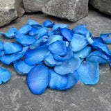 Freeze Dried Rose Petals - Blue dyed