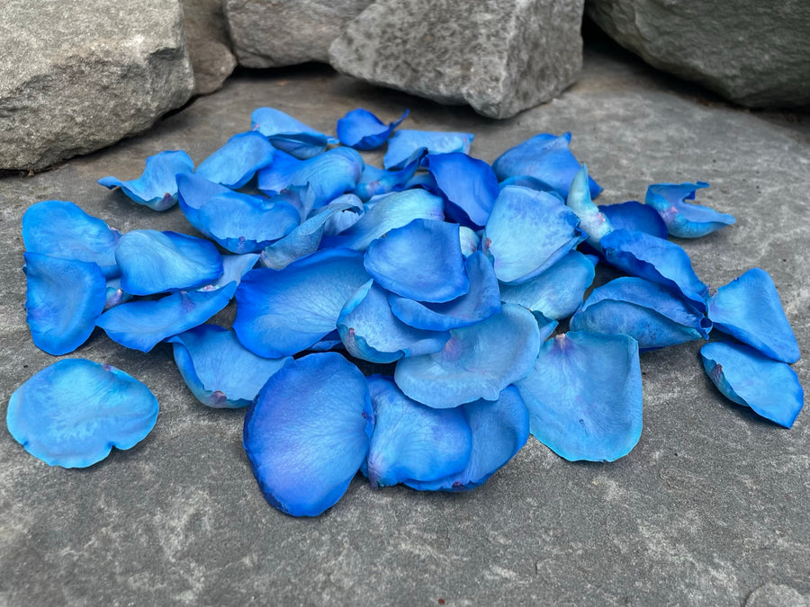 Freeze Dried Rose Petals - Blue dyed