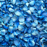 Freeze Dried Rose Petals - Blue dyed