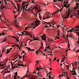 Freeze Dried Rose Petals - Burgundy