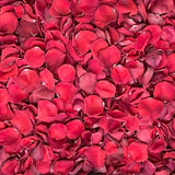 Freeze Dried Rose Petals - Red
