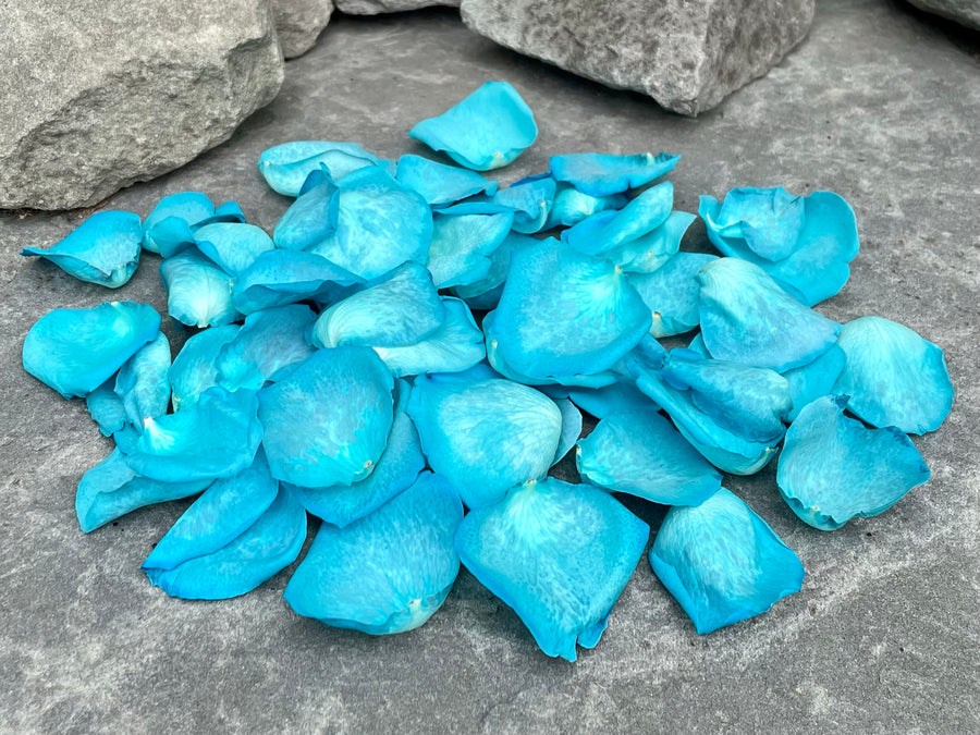 Freeze Dried Rose Petals - Teal dyed