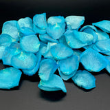 Freeze Dried Rose Petals - Teal dyed