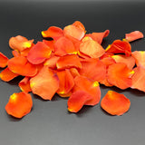 Freeze Dried Rose Petals - Flaming Hot Orange