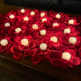 Red Rose Petals and Candles