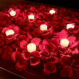 Red Rose Petals and Candles