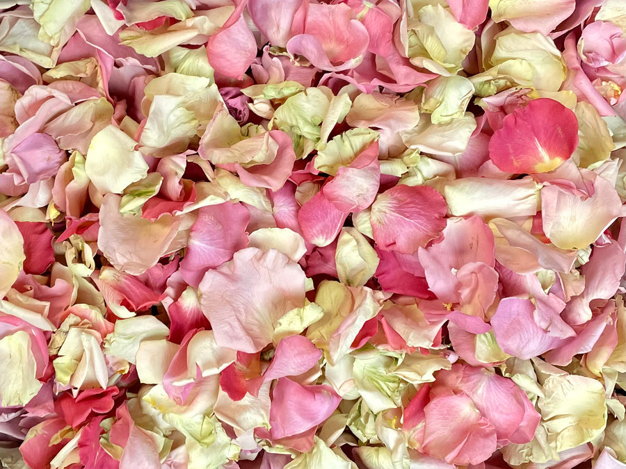 Rose Petals, Real Freeze Dried Pink Petals for Pathways, 70 cups