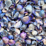 Rose Petals, Purple and Blue Dyed, Real Freeze Dried Bulk Budget Petals, 100 cups