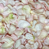 Rose Petals, Real Freeze Dried Blush & Ivory Petals for Pathways, 70 cups