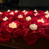 Romance 2000, Red Silk Rose Petals + candles