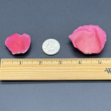 Freeze Dried Rose Petals - Hot Pink