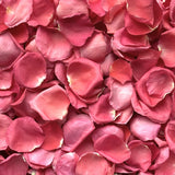 Freeze Dried Rose Petals - Hot Pink