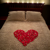 Soft Satin Rose Petals, 200 Red petals per bag