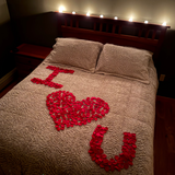 Soft Satin Rose Petals, 200 Red petals per bag