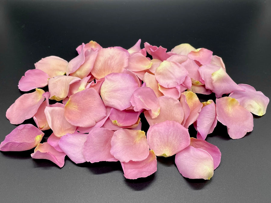 Freeze Dried Rose Petals - Mauve