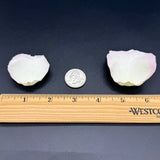 Freeze Dried Rose Petals - Whisper