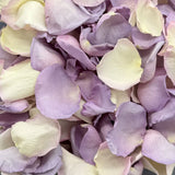 Freeze Dried Rose Petals - Lavender/Whisper Blend