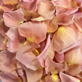 Freeze Dried Rose Petals - Peach
