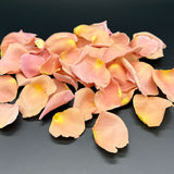 Freeze Dried Rose Petals - Peach