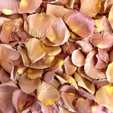Freeze Dried Rose Petals - Peach
